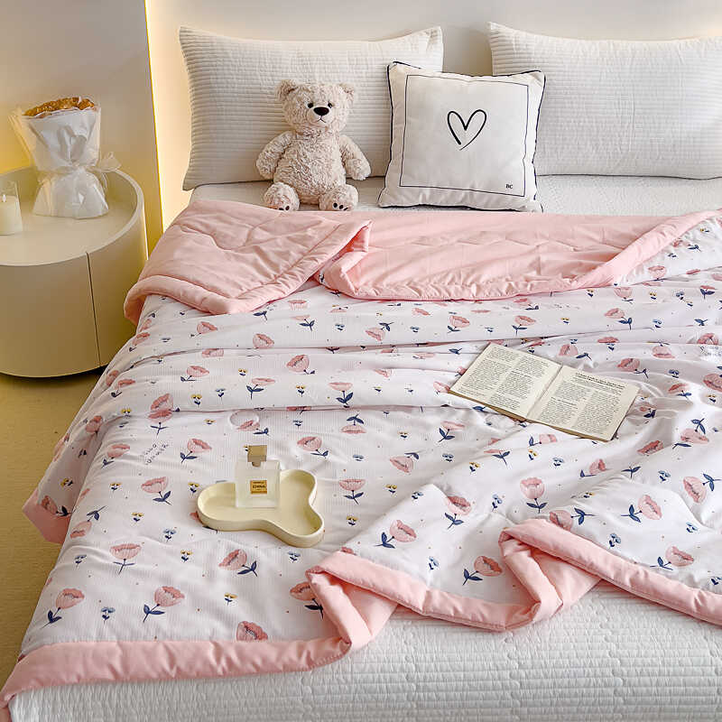 夏季夏凉被夏季薄被子被芯2024新款可机洗宿舍单人学生儿童空调被