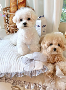 「Lazy Pet」韩国conut宠物蝴蝶结格纹荷叶边秋冬便携可手提坐垫