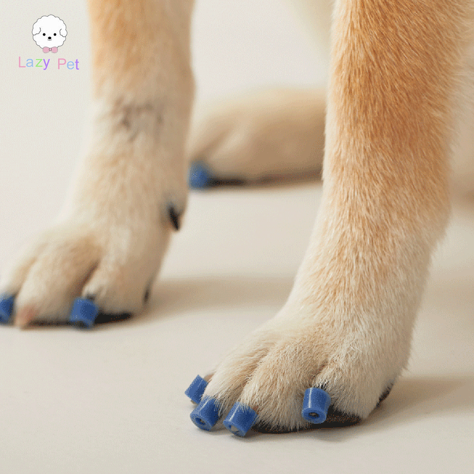 「Lazy Pet」韩国BOHO宠物狗无毒硅胶保护关节术后恢复防滑指甲环
