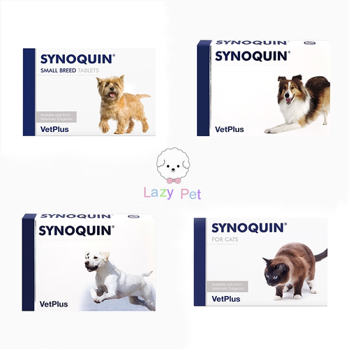 猫狗保护骨骼关节髌骨软骨素韩国