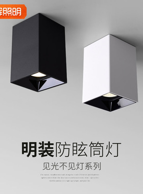 方形led明装斗胆小山丘射灯cob无主筒灯客厅家用过道防眩走廊双头