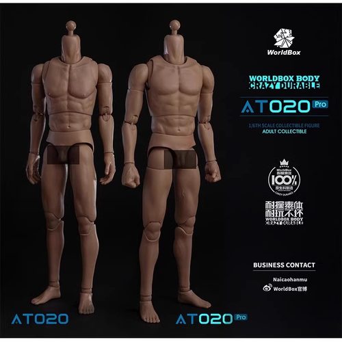 现货WorldBox  1/6兵人偶 AT020 男素体 耐操素体 带脖头雕通用版