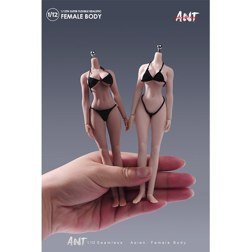 现货 1/12 N306 拆脚钢骨包胶健美女素体关节超可动人偶女兵人