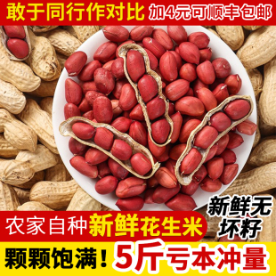 新鲜红皮花生25年新带壳四粒红花生米农家自种晒干炒货原味花生仁