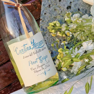 苹果雪梨小白花！意大利名庄进口莎泽卡尼尼树枝灰皮诺干白葡萄酒