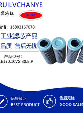 300368 01E170/10VG30EP英德诺曼液压油滤芯 维修保养配件