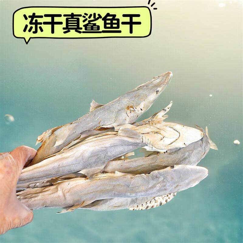 智宙狗零食磨牙棒猫咪冻干鲨鱼干泰迪金毛英短宠物专用 冻干鲨鱼,宠物/宠物食品及用品,狗冻干零食,淘宝优惠券,粉丝福利购,淘宝优惠卷