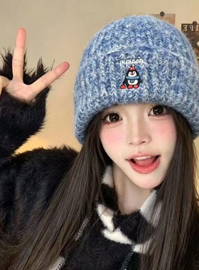 秋冬韩系企鹅刺绣显脸小毛线帽女