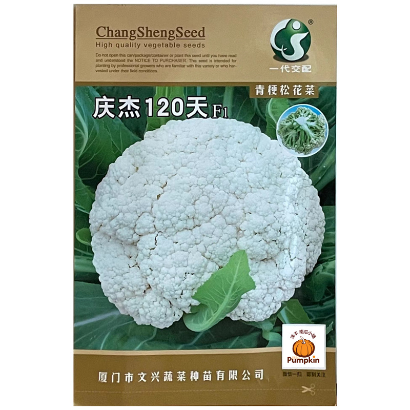庆杰120天松花菜种子正品原装