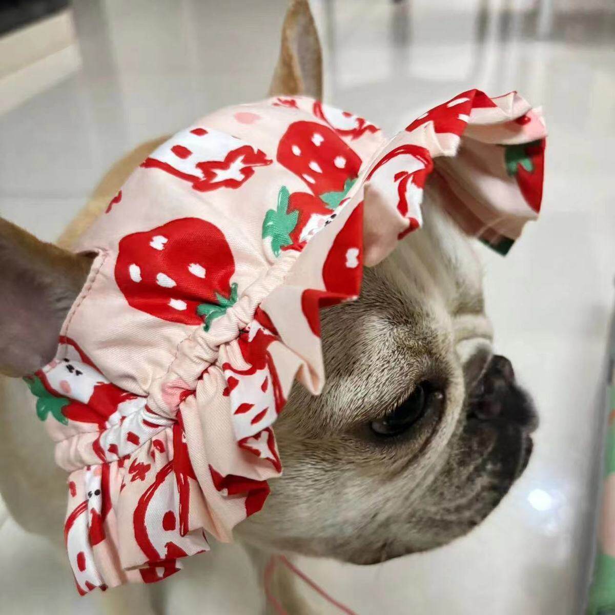 新款狗狗衣服夏天衬衫裙子帽子可爱套装斗牛泰迪柯基柴犬金毛定制
