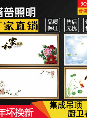 集成吊顶led平板灯300x300x600铝扣板嵌入式厨房卫生间平板灯花灯