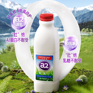 2瓶 澳洲a2牛奶无乳糖A2型鲜奶低温营养全家早餐奶0乳糖不耐受1L