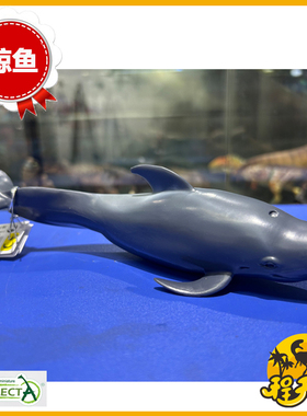 英国CollectA我你他领航鲸88613 仿真极地海洋动物鲸豚类模型玩具