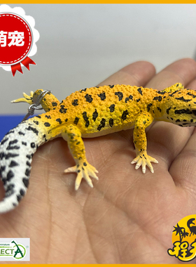 英国CollectA我你他豹纹壁虎80043 萌宠守宫模型爬行动物模型玩具