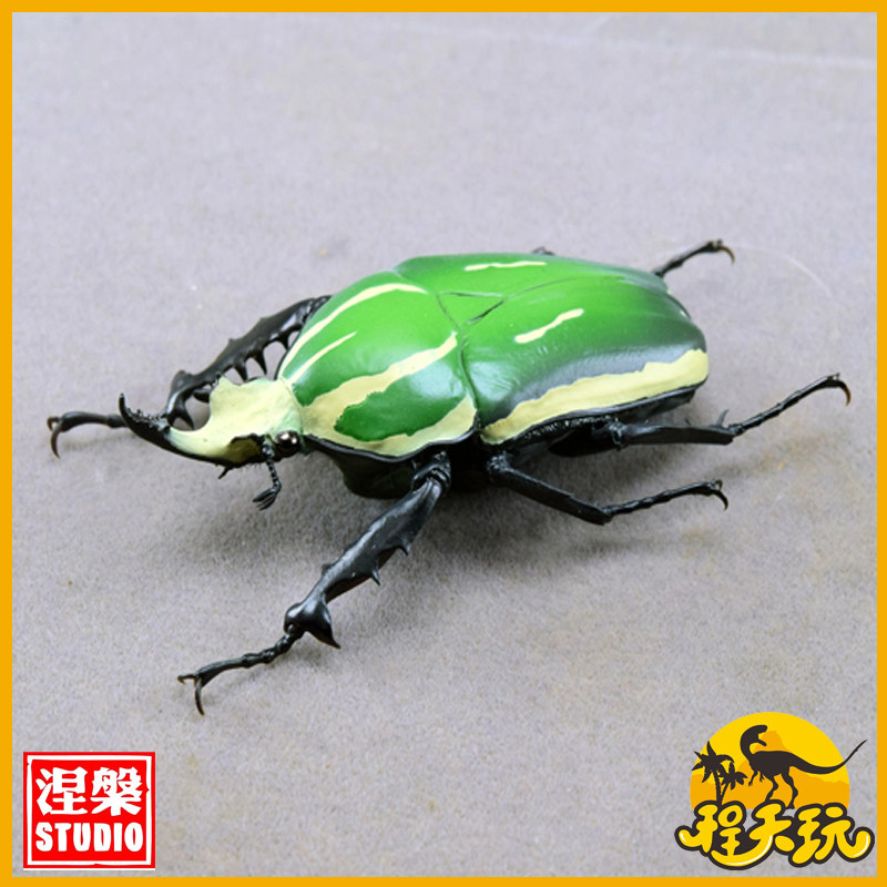 涅槃模型乌干达花金龟绿色配色01款甲虫宇宙仿真动物树脂冰箱贴车