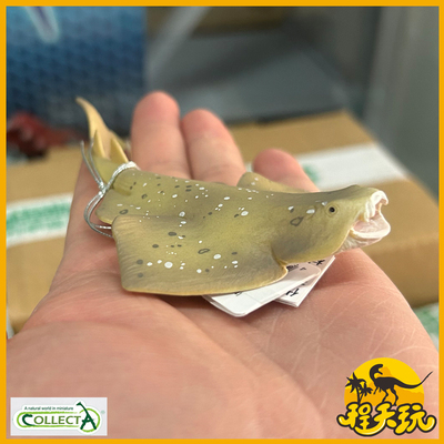 英国CollectA我你他扁鲨88999仿真海洋动物模型玩具鲨鱼2023款PVC