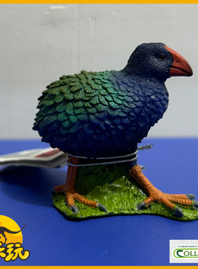 英国CollectA我你他南秧鸡80041新西兰鸟动物玩具模型2025新品PVC