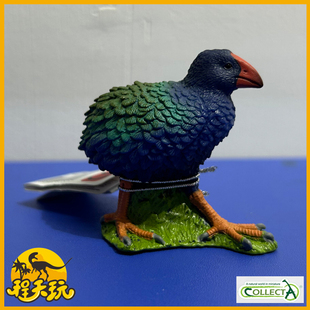 英国CollectA我你他南秧鸡80041新西兰鸟动物玩具模型2025新品PVC