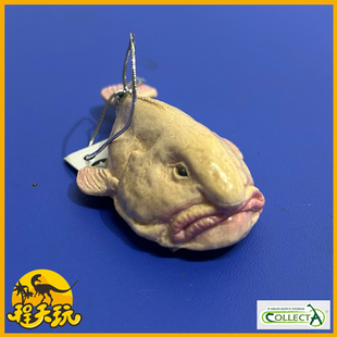 英国CollectA我你他水滴鱼80037 最丑动物忧伤鱼玩具模型2025新品