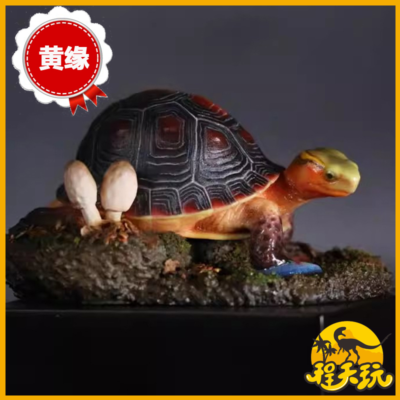口袋堂黄缘闭壳龟限量手办树脂仿真动物模型玩具摆件GK雕像赠地台