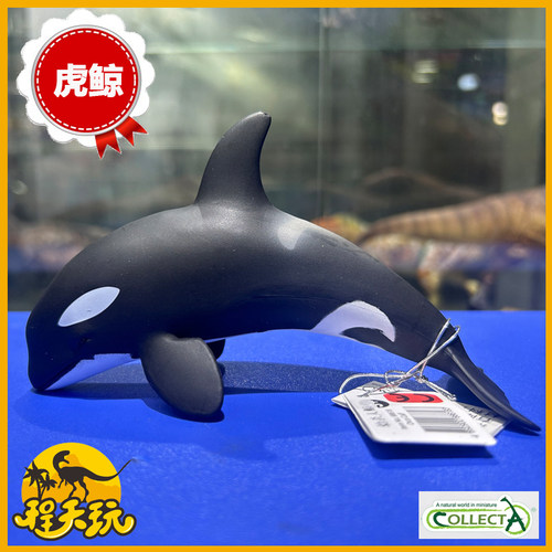 英国CollectA我你他幼虎鲸88618