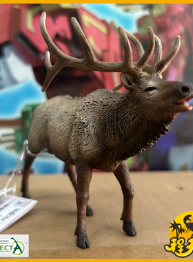 英国CollectA我你他加拿大马鹿80021北美麋鹿仿真野生动物模型PVC