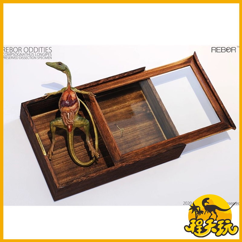 REBOR恐龙仿真模型玩具