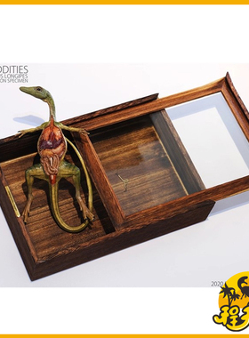 REBOR恐龙仿真模型玩具侏罗纪 标准版本的秀颚龙保存解剖标本现货