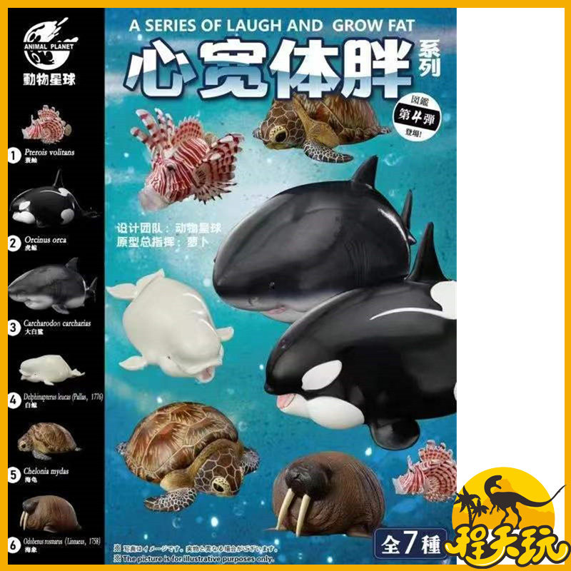 动物星球心宽体胖系列第四弹海洋篇海龟章鱼鲨鱼海洋生物盲盒潮玩