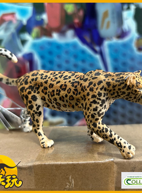 英国CollectA我你他非洲豹88866仿真花豹野生动物模型玩具教具PVC