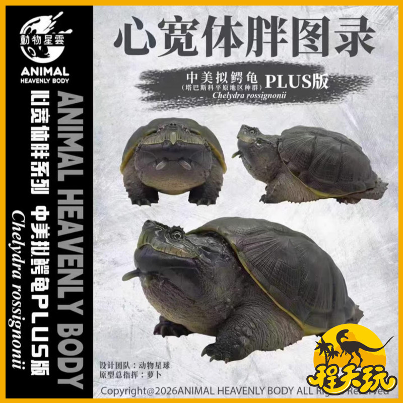 动物星云心宽体胖系列中美拟鳄龟手办塔巴斯科平原地区种群PLUS版