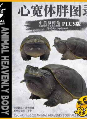动物星云心宽体胖系列中美拟鳄龟手办塔巴斯科平原地区种群PLUS版