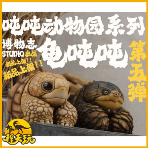 博物志吨吨动物园北美拟鳄龟安格洛卡龟PU树脂模型潮流玩具车摆件