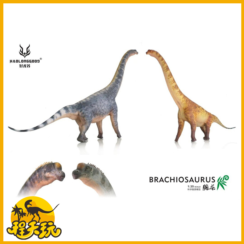 好龙谷腕龙1/35长颈巨龙仿真侏罗纪草食蜥脚恐龙玩具模型手办摆件