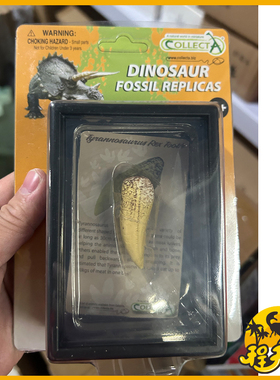 英国CollectA我你他暴龙牙齿89281仿真动物恐龙牙齿脚趾爪模型PVC