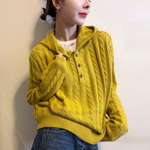 毛衣打底衫 麻花纹连帽羊毛针织衫 欧货女装 新款 潮 女欧洲站2025冬装