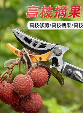 摘果神器修枝剪伸缩高空摘水果剪刀加长采摘器荔枝枇杷龙眼高枝剪
