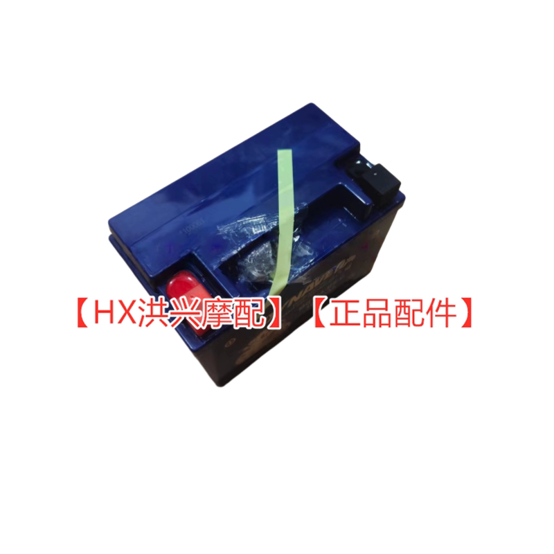适用钱江闪300电瓶蓄池QJ3图片