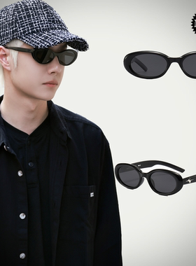 偏光镜椭圆休闲墨镜男女太阳眼镜