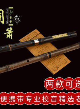 初学萧笛一节二节长箫8孔6孔GF调