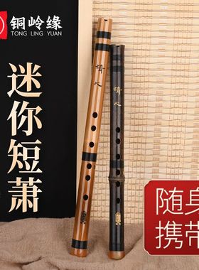 箫乐器初学者入门紫竹萧笛专业精制高档玉潇GF调古风六孔洞箫250
