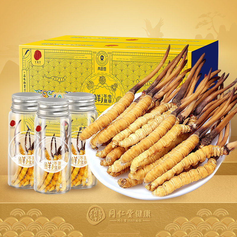 【正宗同仁堂品牌】北京同仁堂青源堂冬虫夏草0.8g/条鲜虫草礼盒
