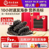 简参礼盒 正宗北京同仁堂速发淡干海参60g干货滋补过年送年货