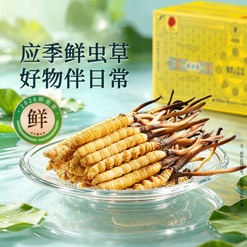 【正宗同仁堂】北京同仁堂冬虫夏草0.8g30根新鲜虫草自用送礼