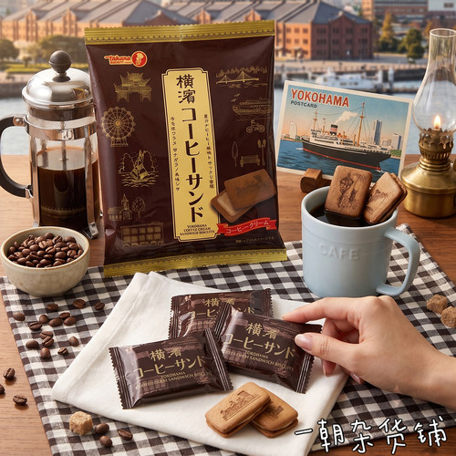 日本进口宝制果咖啡奶油夹心饼干