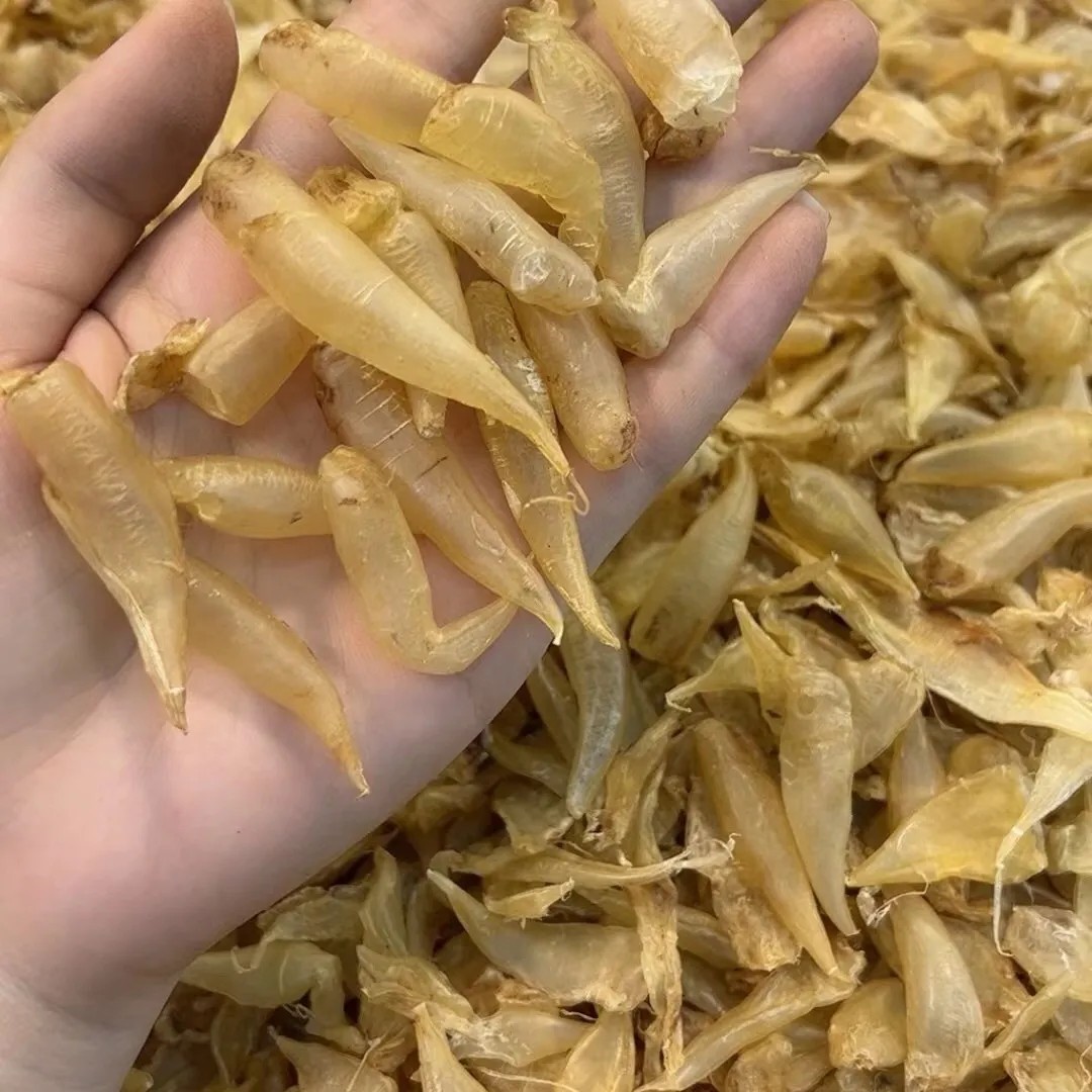 捡漏价!豆仁胶鱼胶花胶鱼肚这是厚肉款700头左右足干泡发胶质好