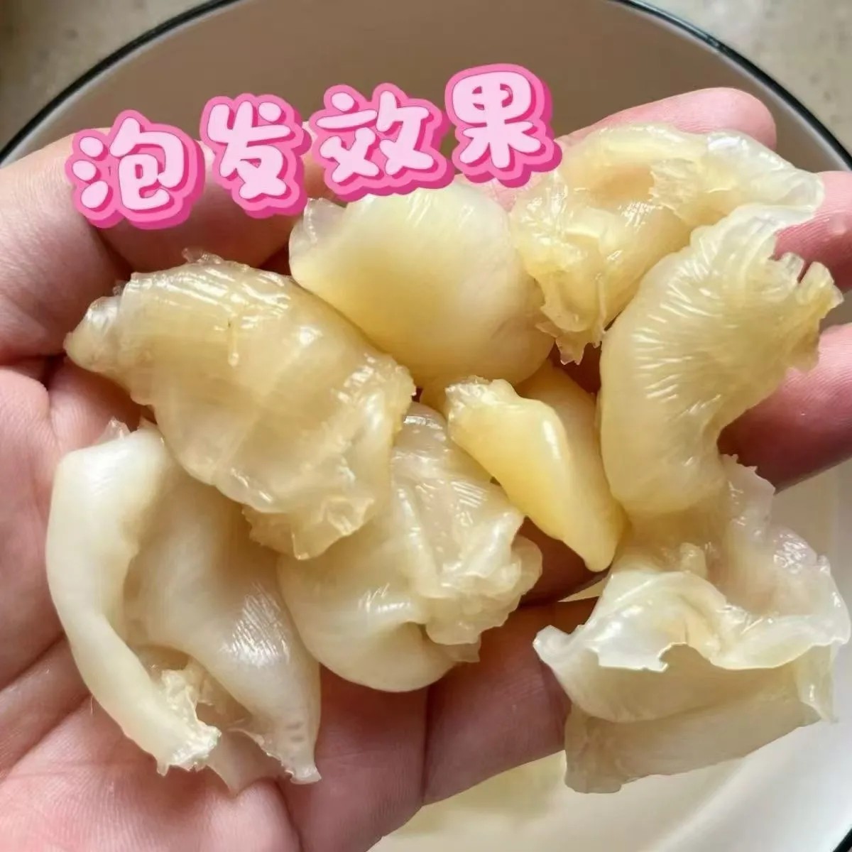 珍珠胶厚肉款干爽无油味糖水鱼胶滋补煲汤料花胶500克装火锅食材
