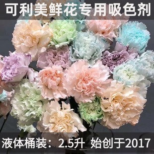 鲜切花专用染色剂满天星吸色剂康乃馨玫瑰花染料颜料可利美马卡龙