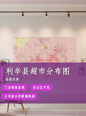 利辛县超市分布图 现代简约装饰画 办公室挂画 定制地图挂图