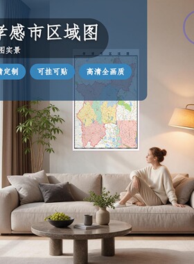 承德市 现代简约装饰画 办公室挂画 定制地图挂图